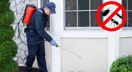 Basınsitesi Tahtakurusu İlaçlama böcek ilaçlama ve haşere kontrolü — ilaclama-tr.com